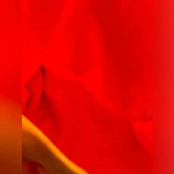 Mossy Oak orange men’s hoodie - Picture 4 of 7